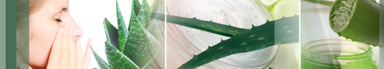Aloe Vera Products image