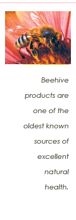 aloe facts - bumble bees statement