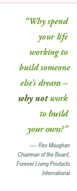 pull quote 1